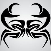 Siggy006