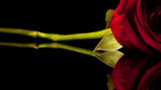 Kels 180918 0405 Lush-CloseUpFingering&OilTits